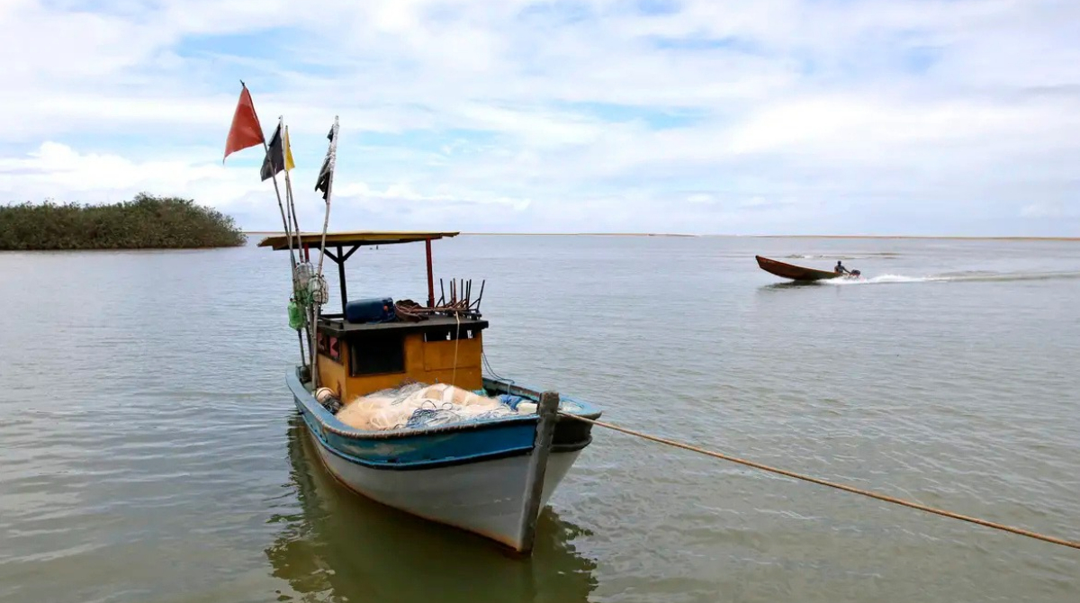 Pesca rio doce