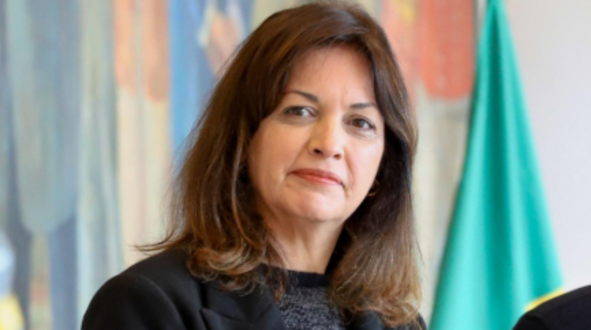 cinara
